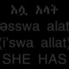 Learn Amharic Personal Pronouns Use With Verb – To Have – Pt 2