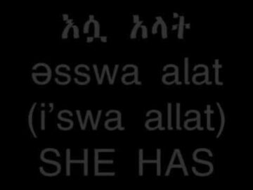 Learn Amharic Personal Pronouns Use With Verb – To Have – Pt 2