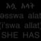 Learn Amharic Personal Pronouns Use With Verb – To Have – Pt 2
