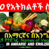 Amharic Lesson 7 Fruits and Vegetables