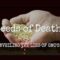 rastafari-tv-watch-interesting-videos-listen-music-seeds-of-death-800×600