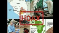 ebola hoax