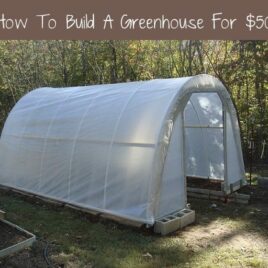 How-To-Build-Your-Own-Greenhouse-For-50