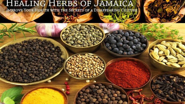 healing-herbs-of-jamaica2