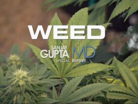 rastafari-tv-weed-sanjay-gupta-medical-marijuana