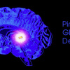 Pineal Gland DETOX 2