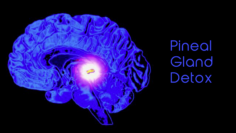 Pineal Gland DETOX 2