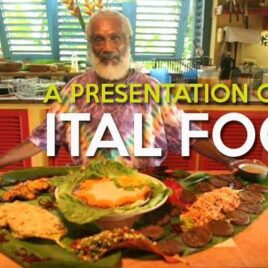 presentation-on-ital-food