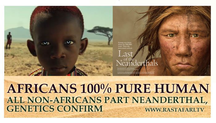 african-pure-humans-neanderthals-rastafari-tv