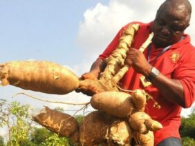 5_Exciting_reasons_to_consider_African_agribusiness_3