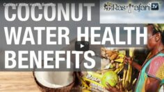 rastafari-tv-coconut-water-benefits