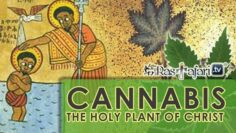 cannabis-marijuana-holy-plant-christ-rastafari-tv