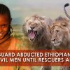 lions-protect-ethiopian-girl-rastafari-tv