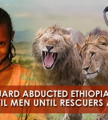 lions-protect-ethiopian-girl-rastafari-tv