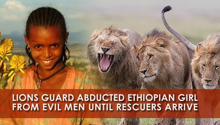 lions-protect-ethiopian-girl-rastafari-tv