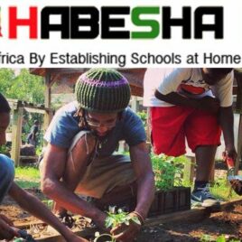 habesha-inc-african-schools-rastafari-tv