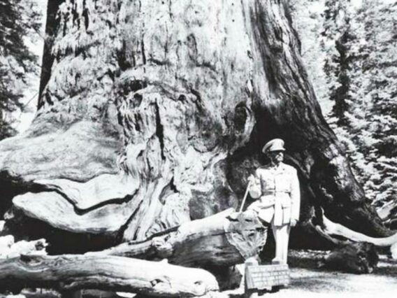 haile selassie speech follow christ rastafari tv