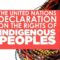 united-nations-declaration-of-human-rights-of-indigenous-people