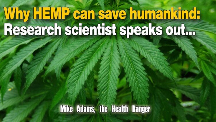 hemp-save-humanking