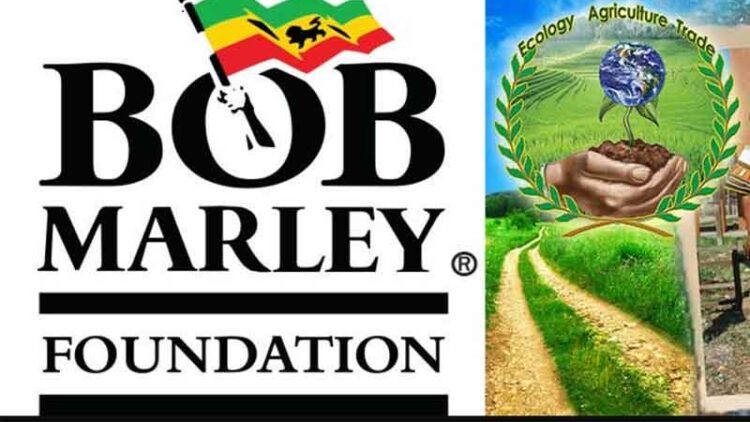 rastafari-tv-sponsor-bob-marley-foundation-haile-selassie-high-school