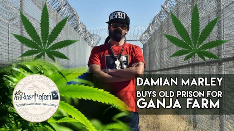 damion-marley-prsion-pot-farm