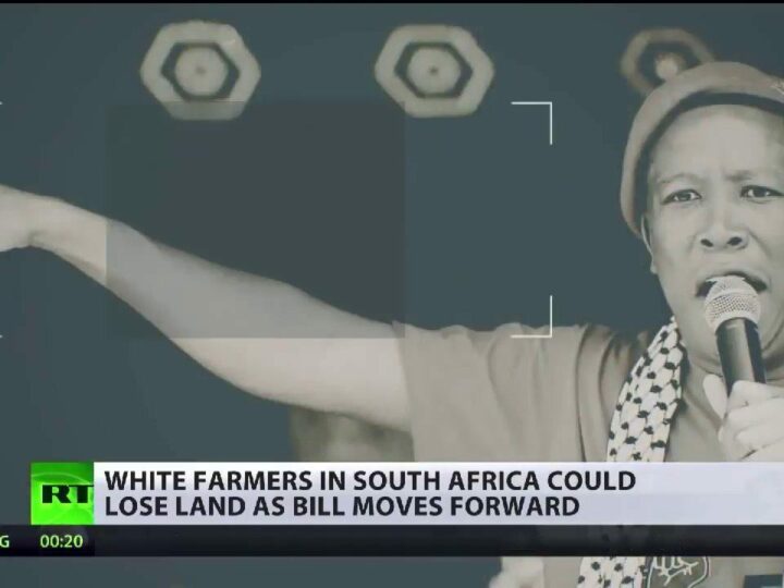 White people stole land everyone is an immigrant in S Africa Debate on land reform