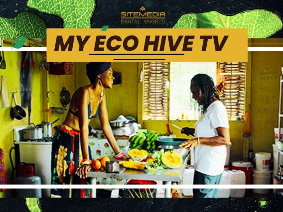 Cover FILM My Eco Hive Florida Jamaica Advertising Deck (1920 × 1080 px)