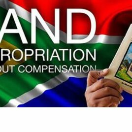 south africa land grabee
