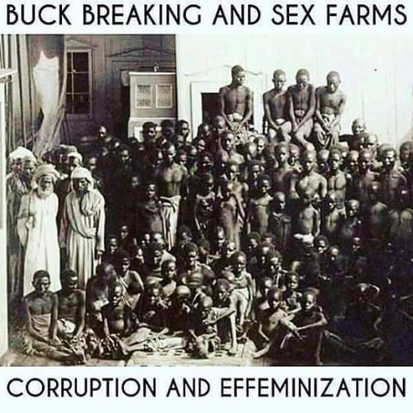 buck breaking sex farms