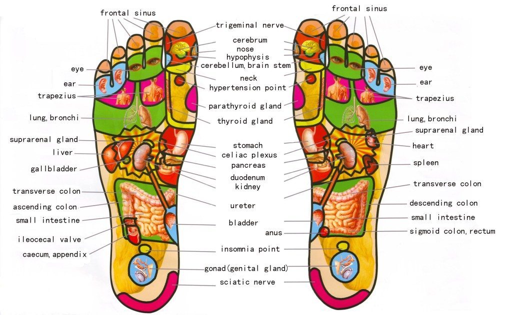 foot-reflexology