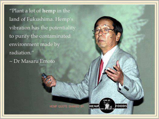 grow hemp