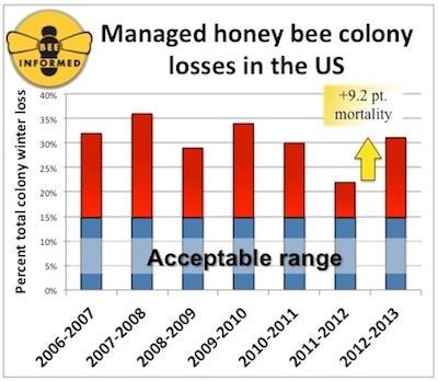 honeybee_losses