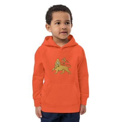 kids-eco-hoodie-burnt-orange-front-62ba42bd206bc.jpg