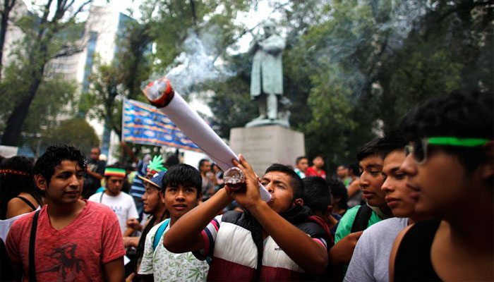 mexico-marijuana-human-right