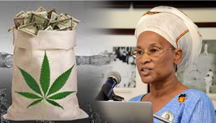 pay-us-back-marijuana-barbados