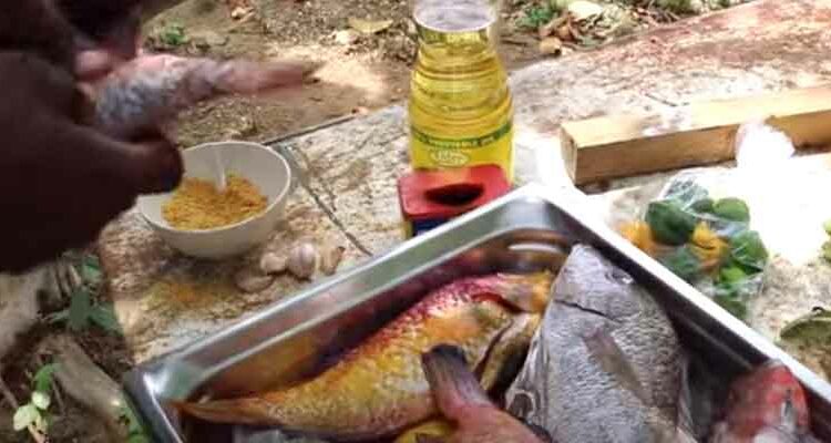 rastafari-tv-watch-interesting-videos-listen-music-cook-fish-jamaican-style