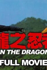Ninja In The Dragons Den (82) MARTIAL ARTS MOVIE Hiroyuki Sanada – Conan Lee – Jeong-lee Hwang