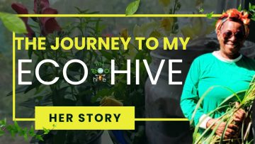 Official Journey to My Eco Hive Video Fanaye Banner2