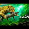 UNREAL AMAZON – Nature’s Most Dangerous Paradise (Full Documentary)