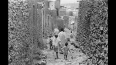 ሐረር 1928 ዓም Harar 1936#ታሪካችን