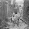 ሐረር 1928 ዓም / Harar 1936#ታሪካችን