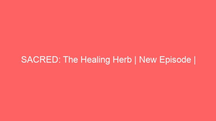 SACRED: The Healing Herb | New Episode | RasTafari.TV