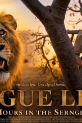 ROGUE LION 72 Hours in Serengeti A Womans Survival in African Wild 2026 Full Movie English