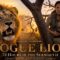 ROGUE LION: 72 Hours in Serengeti | A Woman’s Survival in African Wild | 2026 Full Movie | English