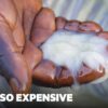 10 African Businesses Making The World’s Most Expensive Products | So Expensive Marathon