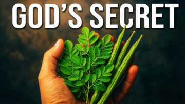 12 Plants With MORE Protein Than Meat (Most People Dont Know #7)