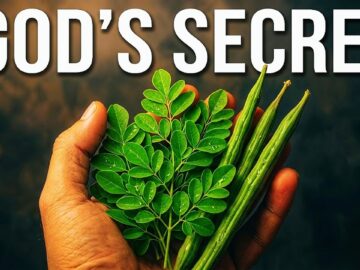 12 Plants With MORE Protein Than Meat (Most People Dont Know #7)