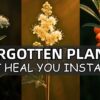 20 Forgotten Medicinal Plants That Will Heal You Instantly