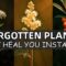 20 Forgotten Medicinal Plants That Will Heal You Instantly