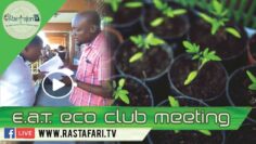 2018 Jan 11, Eco Club Meeting Haile Selassie High – Jamnesia Beach